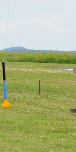 2013 Suche 29062013 Michal